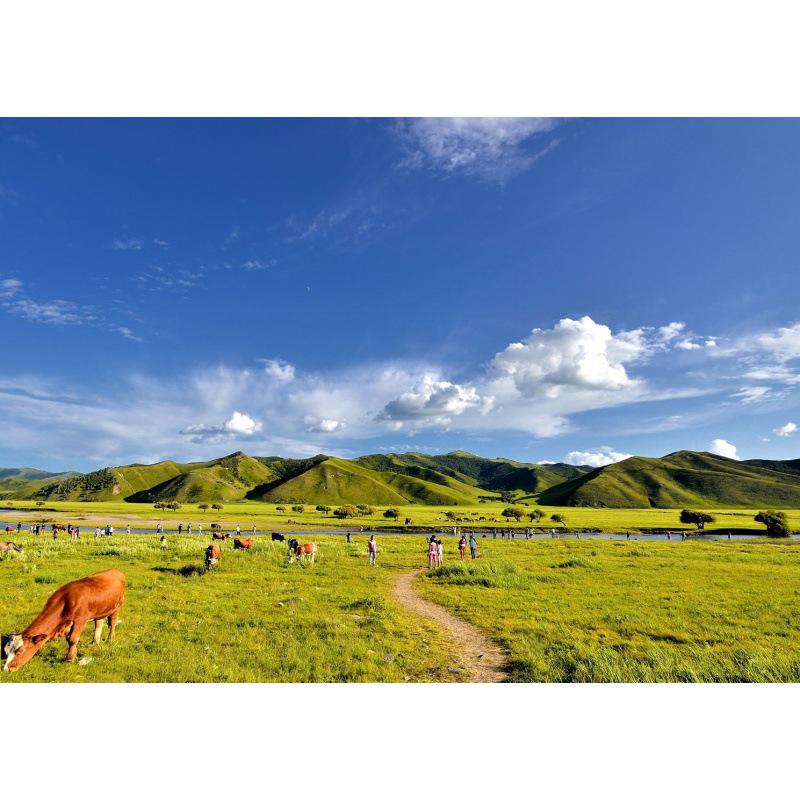 Tibetan Plateau Scenic Landscape Poster: Mountains, Rivers, and Lakes Wall Art for Study or Bedroom Yellow Kraft Paper (No Glue) 30X42 cm
Tibetan Plateau Scenic Landscape Poster: Mountains, Rivers, and Lakes Wall Art for Study or Bedroom Yellow Kraft Paper (No Glue) 30X42 cm