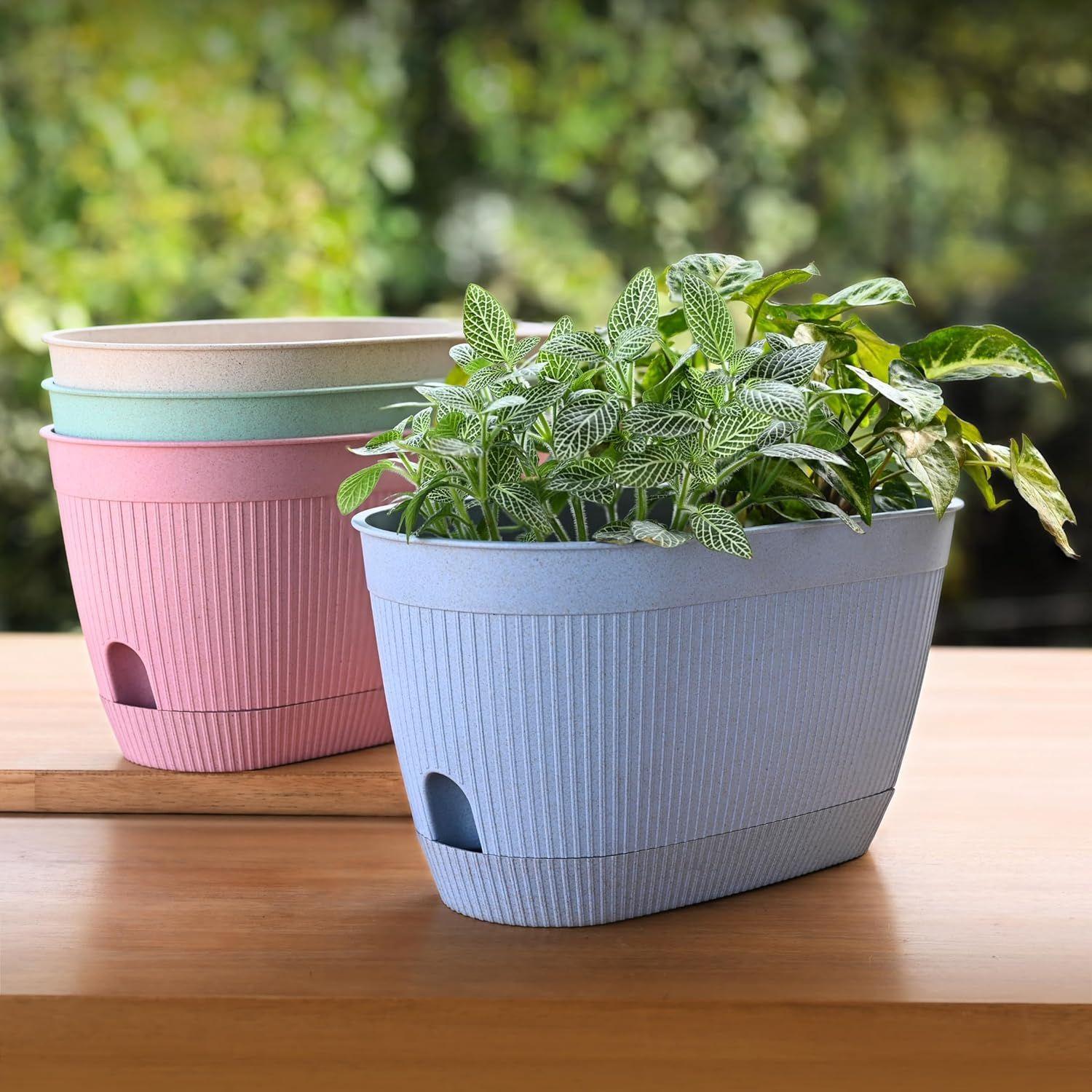 Ева 11,5-дюймовые самополивающиеся горшки для растений | Горшки для растений на основе бамбука | Упаковка из 4 штук | Устойчивые к УФ-излучению кашпо для домашнего декора в помещении, на улице 11.5 INCH
Ева 11,5-дюймовые самополивающиеся горшки для растений | Горшки для растений на основе бамбука | Упаковка из 4 штук | Устойчивые к УФ-излучению кашпо для домашнего декора в помещении, на улице 11.5 INCH