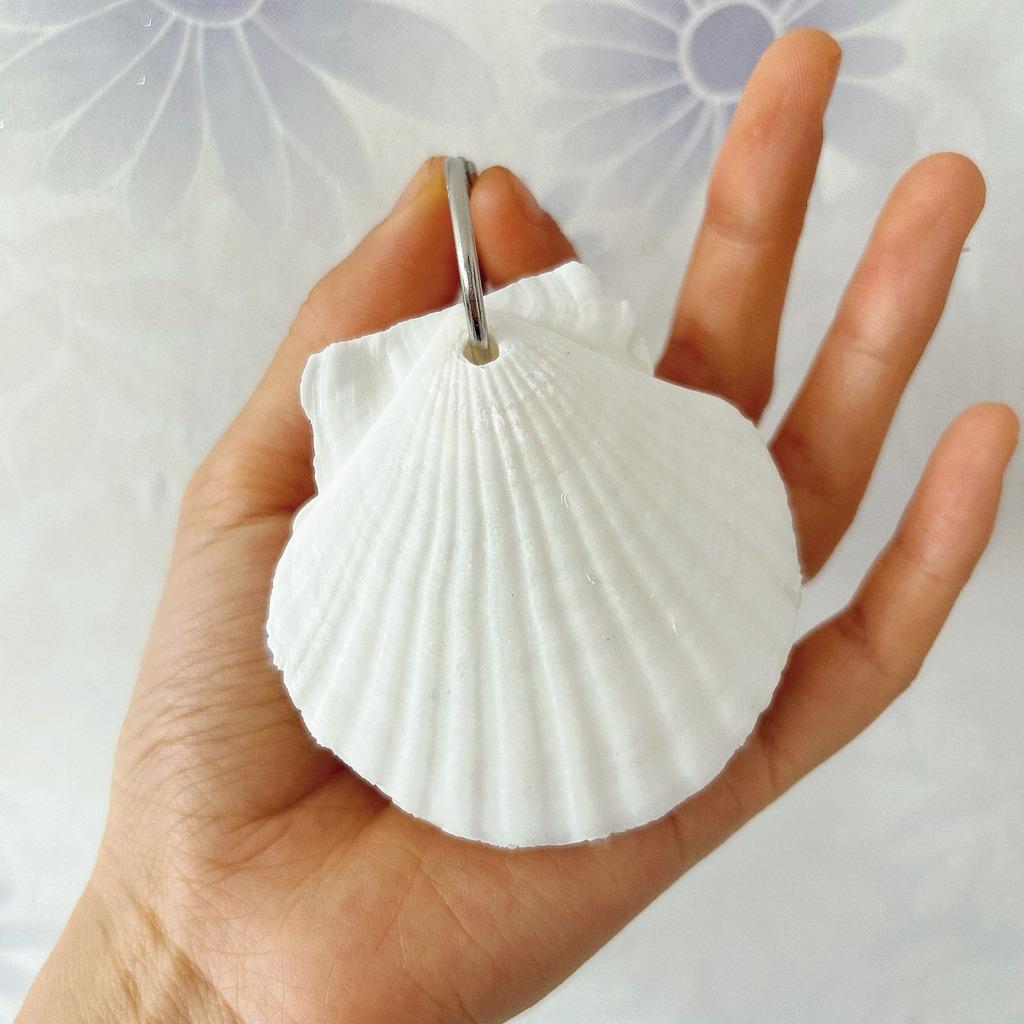 Drawing And Journaling Pad Natural Daily Note Book Natural Seashell Cover Notebook Compact Portable Mini Notepad For Travel Note
Drawing And Journaling Pad Natural Daily Note Book Natural Seashell Cover Notebook Compact Portable Mini Notepad For Travel Note