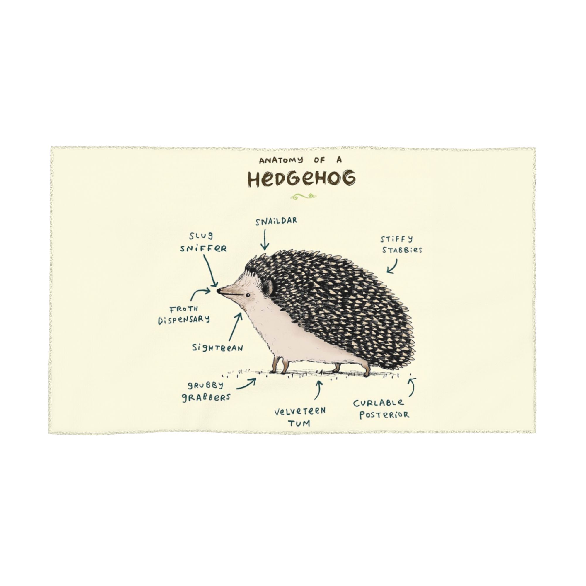 Anatomy of a Hedgehog Soft Face Towel Quick Dry Pool Bath Cotton Towels Absorbent W40*H60(CM)
Anatomy of a Hedgehog Soft Face Towel Quick Dry Pool Bath Cotton Towels Absorbent W40*H60(CM)