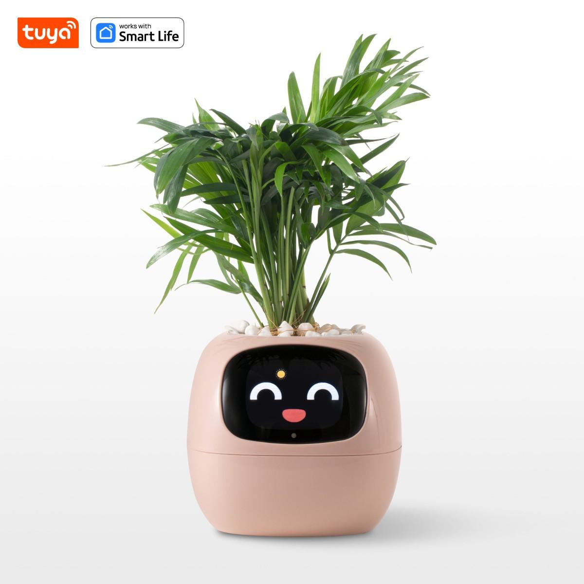 Умный горшок для цветов розового плюща Tuya, бесконечное веселье, более 49 насыщенных выражений, 7 интеллектуальных датчиков и чипы искусственного интеллекта делают выращивание растений простым и увлекательным
Умный горшок для цветов розового плюща Tuya, бесконечное веселье, более 49 насыщенных выражений, 7 интеллектуальных датчиков и чипы искусственного интеллекта делают выращивание растений простым и увлекательным
