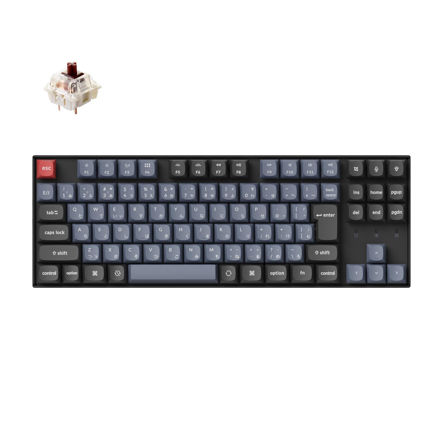 K8 Pro Wireless Custom Mechanical Double Shot PBT LED Swap Compatible Gateron G Pro Mechanical та Bluetooth Windows Compatible G Pro Mechanical Коричневий
K8 Pro Wireless Custom Mechanical Double Shot PBT LED Swap Compatible Gateron G Pro Mechanical та Bluetooth Windows Compatible G Pro Mechanical Коричневий