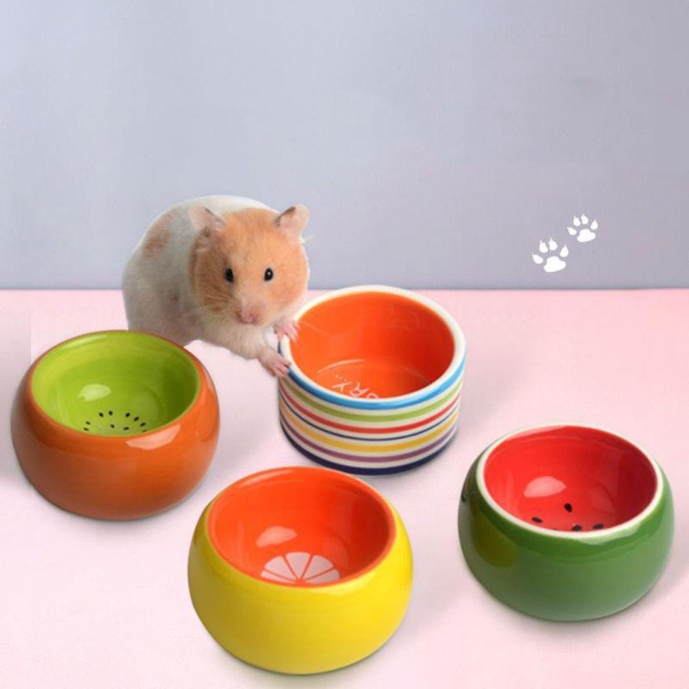 Rat Small Animals Chewing Feeding Gerbil Ceramic Hamster Bowl Food Dish Pet Supplies Water Drinker kiwi
Rat Small Animals Chewing Feeding Gerbil Ceramic Hamster Bowl Food Dish Pet Supplies Water Drinker kiwi