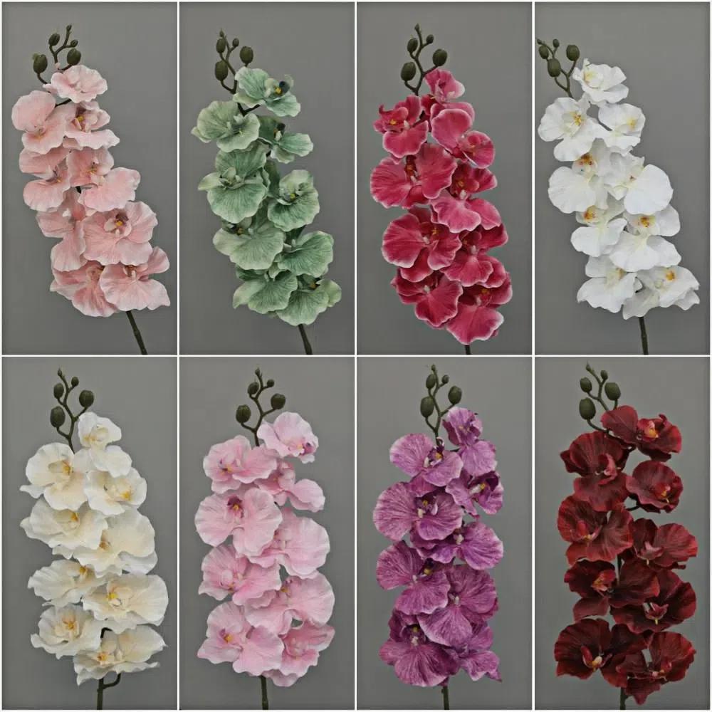 Real Touch Plant Simulation Flower 98cm Silk Flower Нова підроблена квітка Phalaenopsis Home Decor зелений
Real Touch Plant Simulation Flower 98cm Silk Flower Нова підроблена квітка Phalaenopsis Home Decor зелений