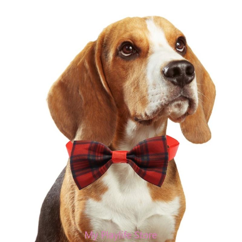 Pet Collar for Cats Dogs Denims Necktie Festival Pet Neck Tie Costume Accessories Adjust Cats Tie Pet Neckwear
Pet Collar for Cats Dogs Denims Necktie Festival Pet Neck Tie Costume Accessories Adjust Cats Tie Pet Neckwear