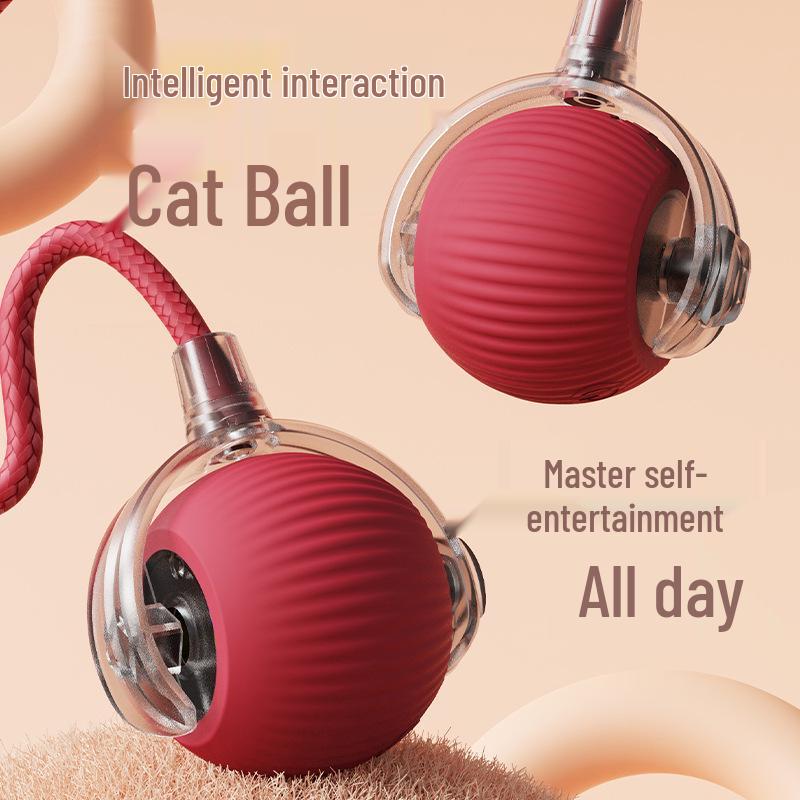 Bounce-Proof Auto Cat Toy Ball with Rope for Self-Entertainment
Bounce-Proof Auto Cat Toy Ball with Rope for Self-Entertainment