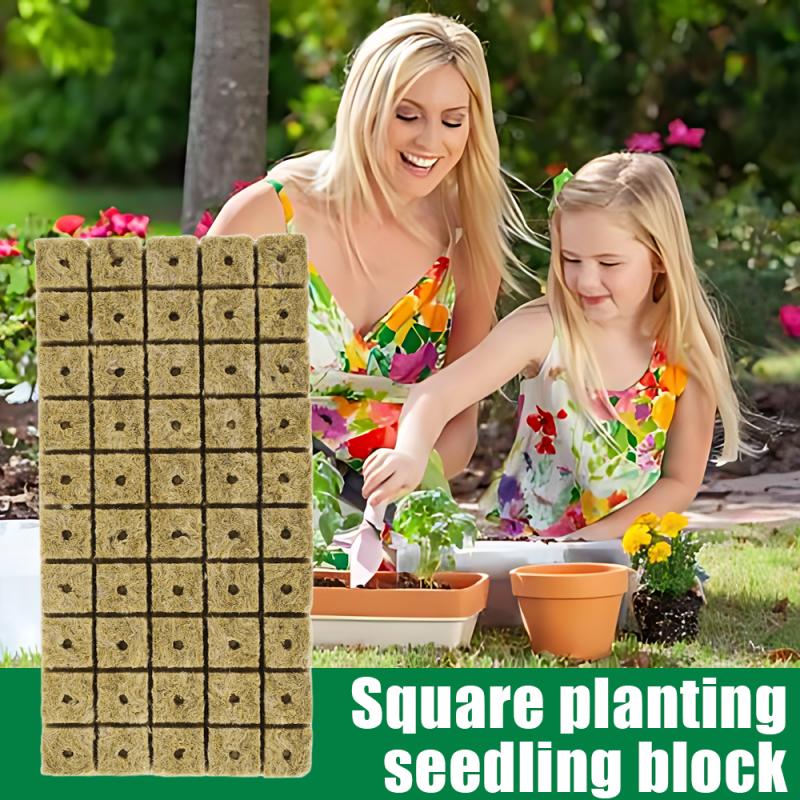 Рассада Grow Plug Sponge Block Starter Минеральная вата Посадка Grow Cubes Гидропоника Черенки Размножение садовых растений Grow Supply 50pcs
Рассада Grow Plug Sponge Block Starter Минеральная вата Посадка Grow Cubes Гидропоника Черенки Размножение садовых растений Grow Supply 50pcs