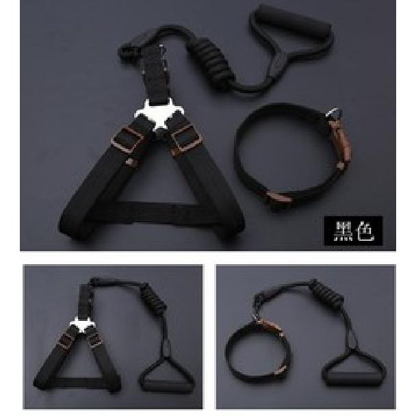 Лидер продаж товаров для домашних животных 2021, комплект шлейки для собак, комплект из трех предметов, ошейник, тяговый поводок для собак 
Лидер продаж товаров для домашних животных 2021, комплект шлейки для собак, комплект из трех предметов, ошейник, тяговый поводок для собак