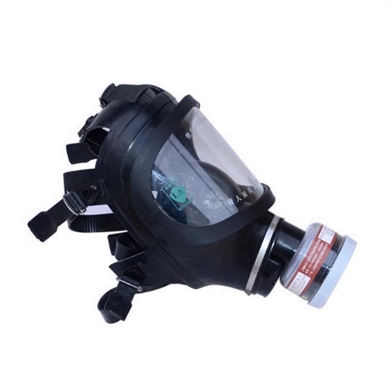 Meng Ci Tang Ren TF-9D Full-Face Respirator
Meng Ci Tang Ren TF-9D Full-Face Respirator