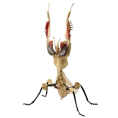 Ichiban Kuji Insect Насекомые в мире насекомых! Последний приз Найс Хана Мао Камакири (Коричневый период) Только фигура
Ichiban Kuji Insect Насекомые в мире насекомых! Последний приз Найс Хана Мао Камакири (Коричневый период) Только фигура