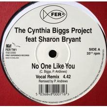 12inch Record CYNTHIA BIGGS PROJECT, SHARON BRYAN - No One Like You FERTW1 First Experienc 2000 UK Soul/Funk Used
12inch Record CYNTHIA BIGGS PROJECT, SHARON BRYAN - No One Like You FERTW1 First Experienc 2000 UK Soul/Funk Used