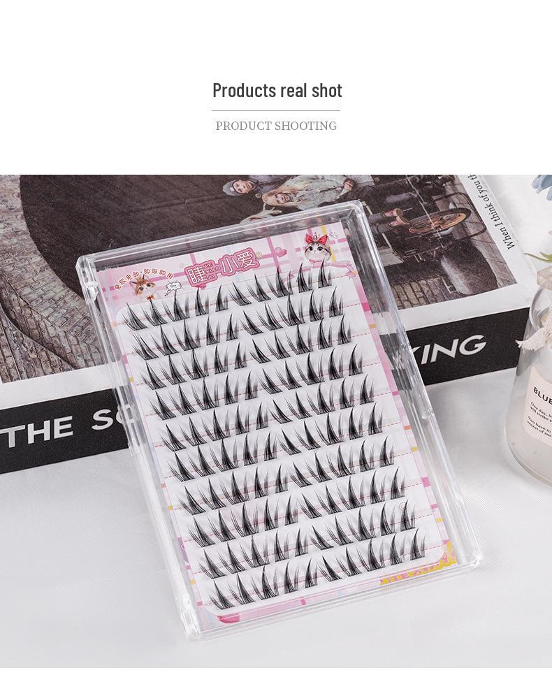 Sunflower Glue-Free False Eyelashes - Butterfly Girl Upper Lashes for a Sweet, Lively Fox Eye Look in European and American Styles
Sunflower Glue-Free False Eyelashes - Butterfly Girl Upper Lashes for a Sweet, Lively Fox Eye Look in European and American Styles