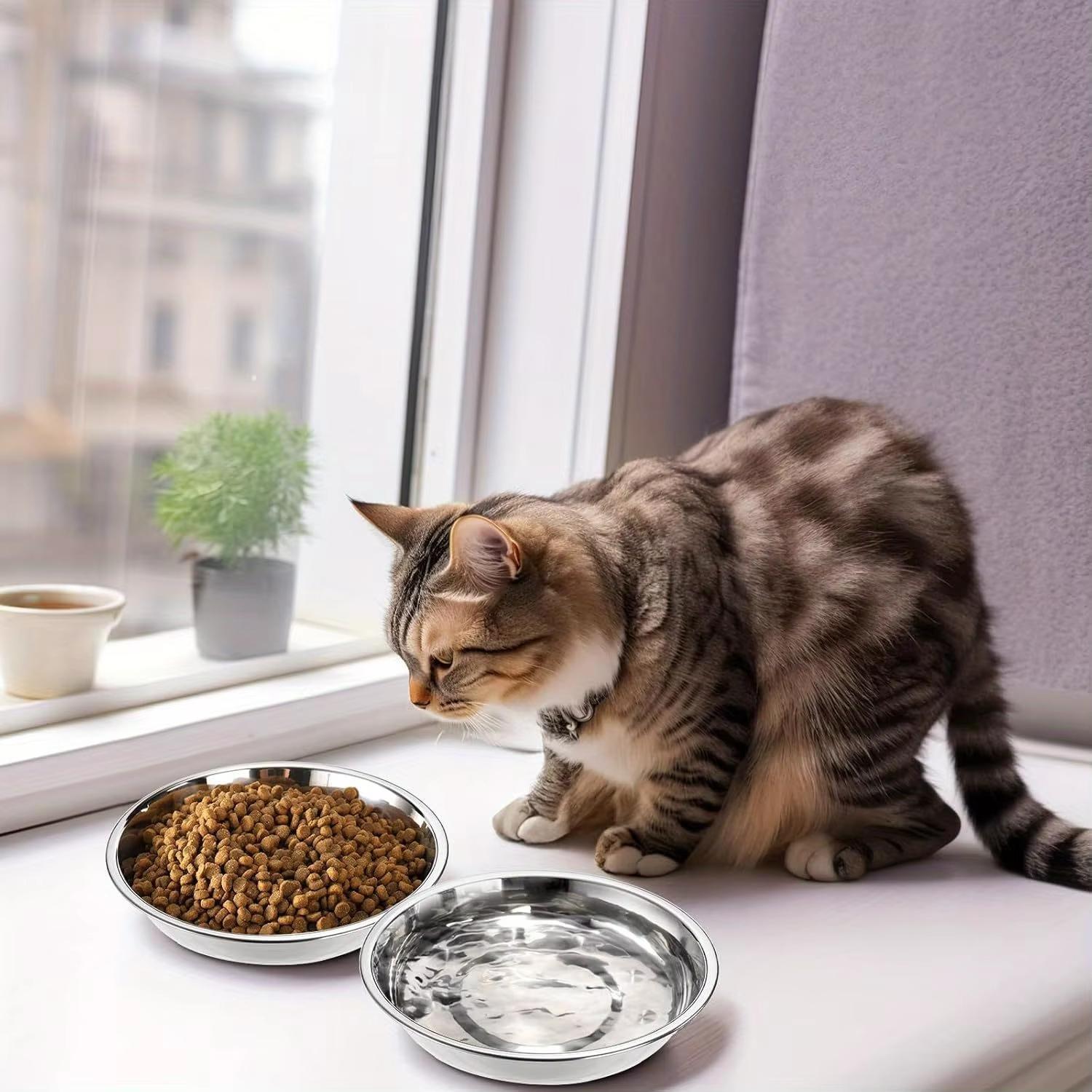 Slip-Resistant Stainless Steel Cat Bowl Set – Low-Profile Wide Design for Kittens & Small Pets Anti-Tip Base Feeding Station
Slip-Resistant Stainless Steel Cat Bowl Set – Low-Profile Wide Design for Kittens & Small Pets Anti-Tip Base Feeding Station