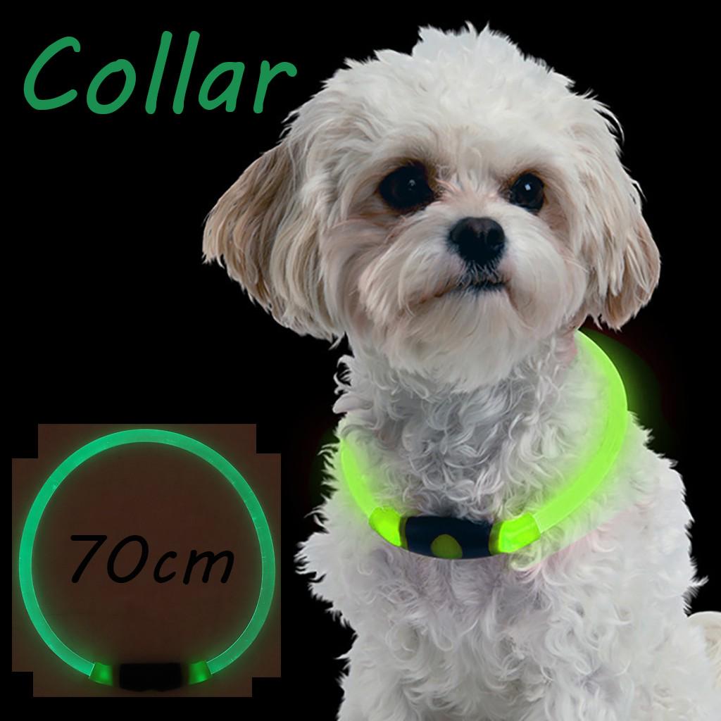Pet Cat Dog At Night Outdoor Walking Dog LED Silicone Lamp Collar
Pet Cat Dog At Night Outdoor Walking Dog LED Silicone Lamp Collar