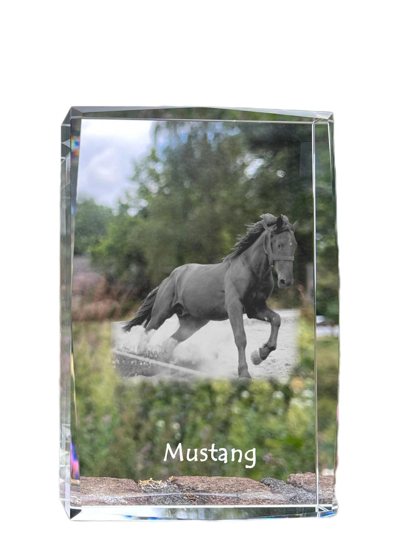Mustang - crystal with a picture of a horse, photo in glass, modern exhibition of Art-Dog brand photo прозорий
Mustang - crystal with a picture of a horse, photo in glass, modern exhibition of Art-Dog brand photo прозорий