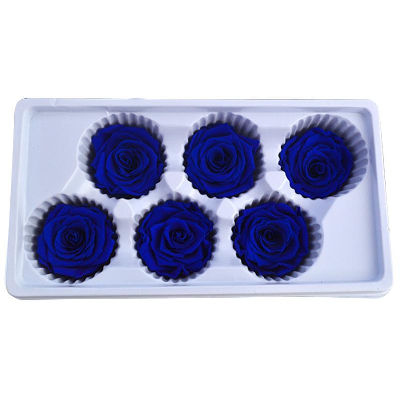 6 шт./кор. вечный цветок жизни на день матери, сохраненный на свадьбу, 5-6 см, сделай сам, высокое качество, День святого Валентина, роза, декор для вечеринки, подарок королевский синий
6 шт./кор. вечный цветок жизни на день матери, сохраненный на свадьбу, 5-6 см, сделай сам, высокое качество, День святого Валентина, роза, декор для вечеринки, подарок королевский синий