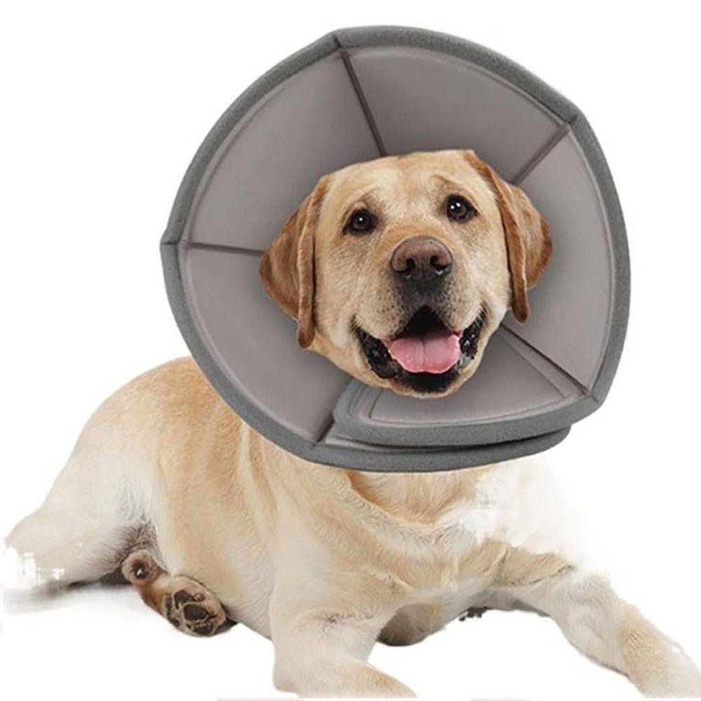 Ошейник Recovery Circle Anti-Bite Ошейники для кошек Ошейники для домашних животных Елизаветинские ошейники Защитный щит Товары для животных XL
Ошейник Recovery Circle Anti-Bite Ошейники для кошек Ошейники для домашних животных Елизаветинские ошейники Защитный щит Товары для животных XL