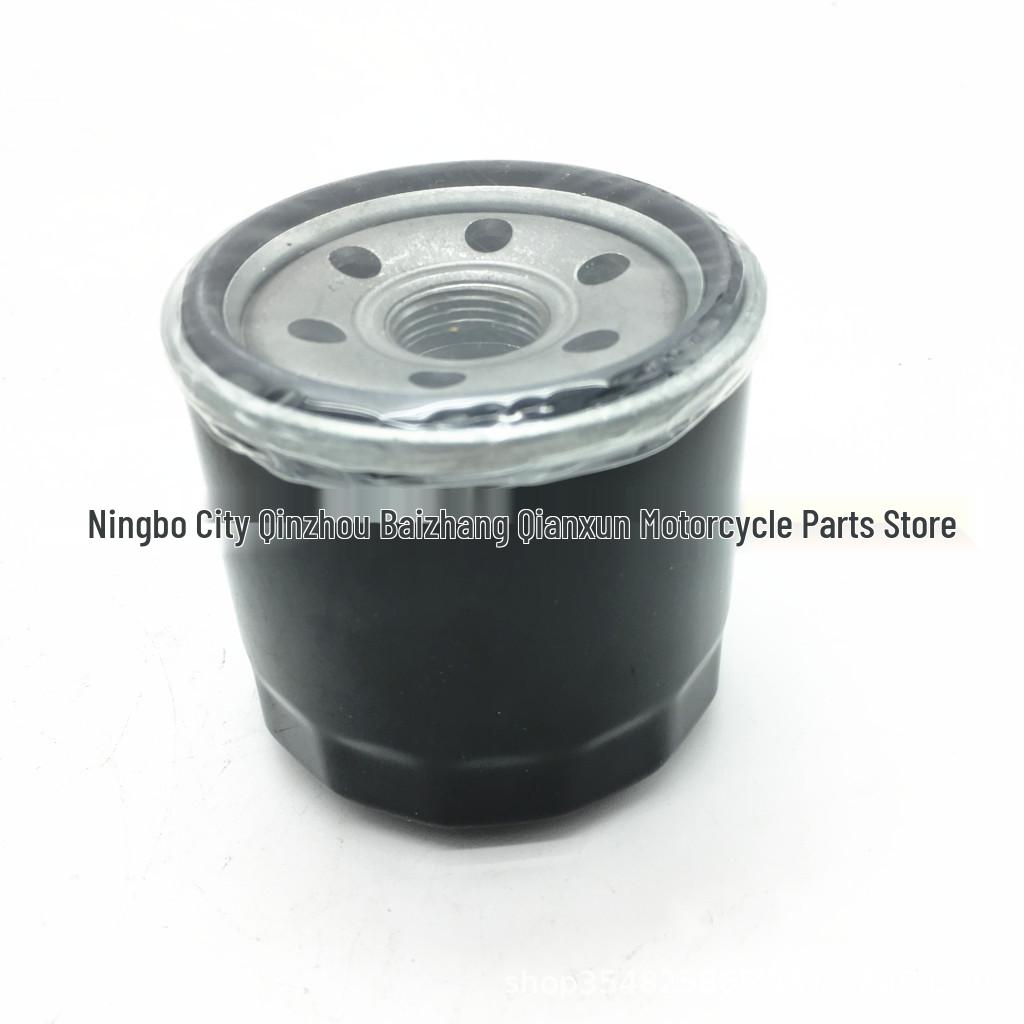 Engine Oil Filter for Ringsong 400/500/700CC ATV/UTV 500CC
Engine Oil Filter for Ringsong 400/500/700CC ATV/UTV 500CC