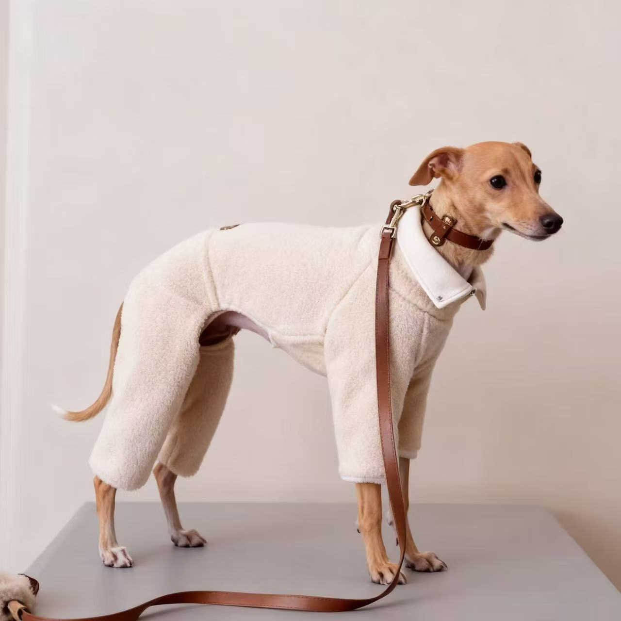 Winter Fleece Dog Jumpsuit,Four Feet Pet Rompers Pajamas,Puppy Outfits Sweater with Warm High Neck Design,For Greyhound Whippet S бежевий
Winter Fleece Dog Jumpsuit,Four Feet Pet Rompers Pajamas,Puppy Outfits Sweater with Warm High Neck Design,For Greyhound Whippet S бежевий