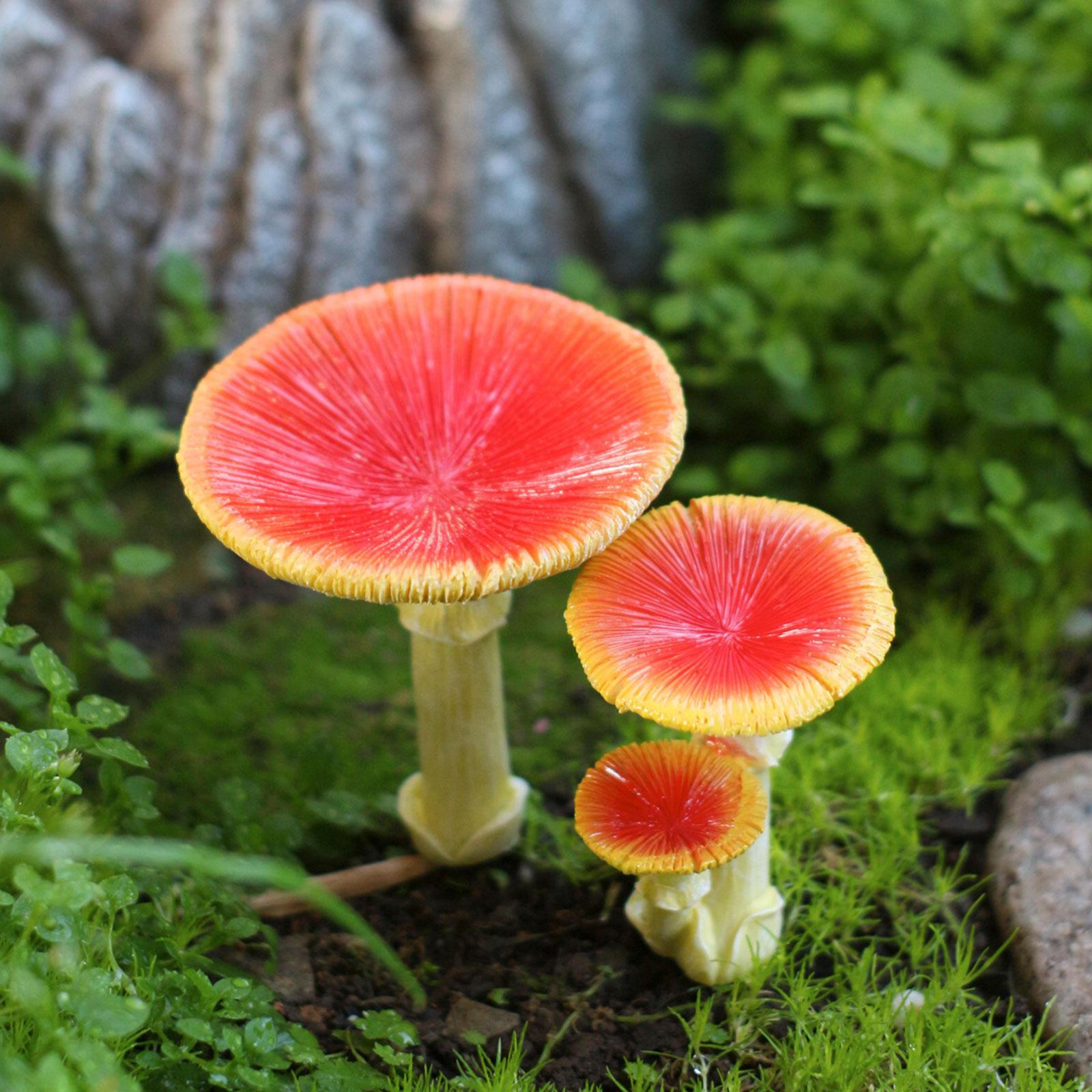 Ground Stake Bird Feeder Mushroom Feeding Station Decorative Ornament Decoration
Ground Stake Bird Feeder Mushroom Feeding Station Decorative Ornament Decoration