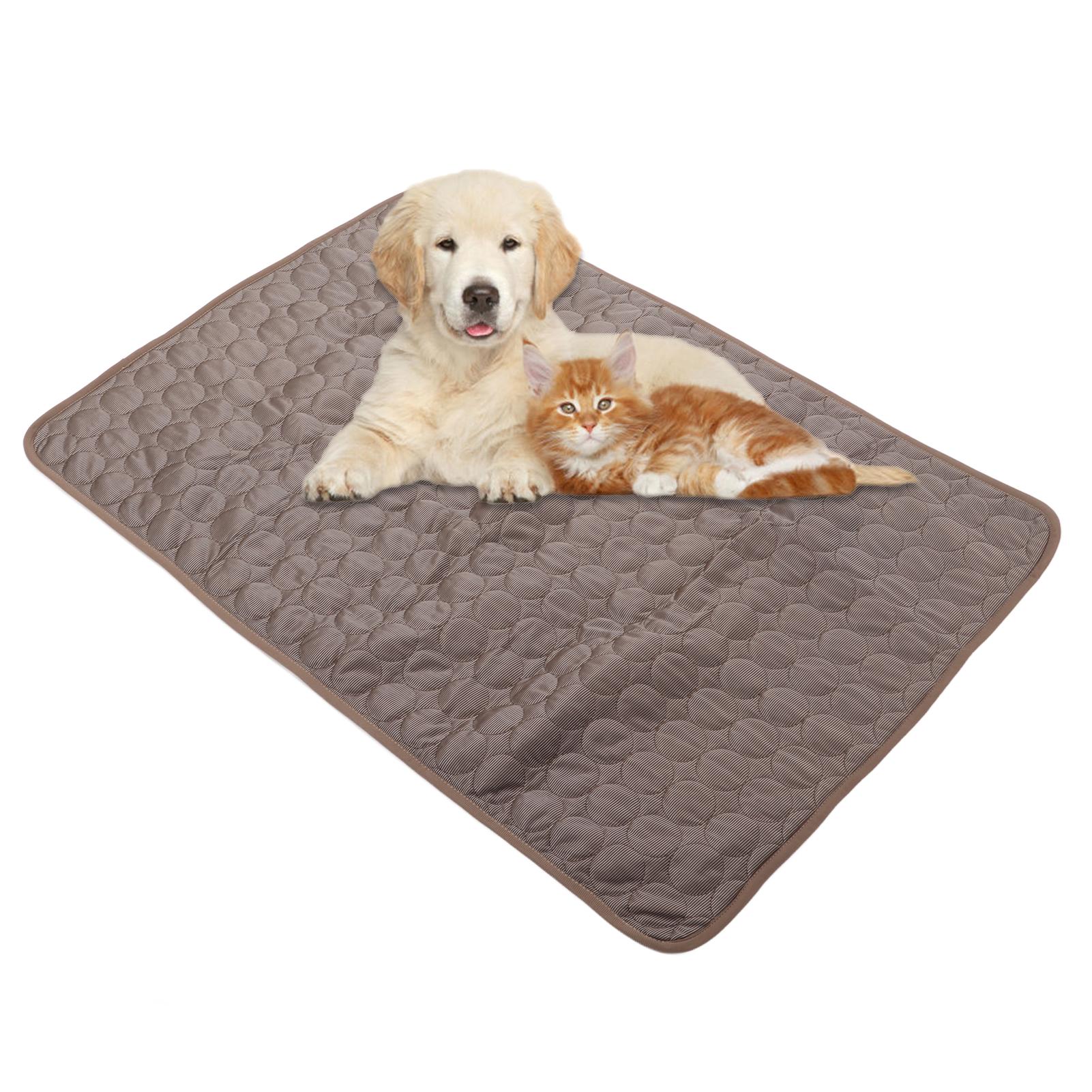 Pet Ice Pad Дышащая теплорассеивающая подушка охлаждающий коврик Портативные собаки Кошки Ледяная шелковая подушка для автомобиля
Pet Ice Pad Дышащая теплорассеивающая подушка охлаждающий коврик Портативные собаки Кошки Ледяная шелковая подушка для автомобиля