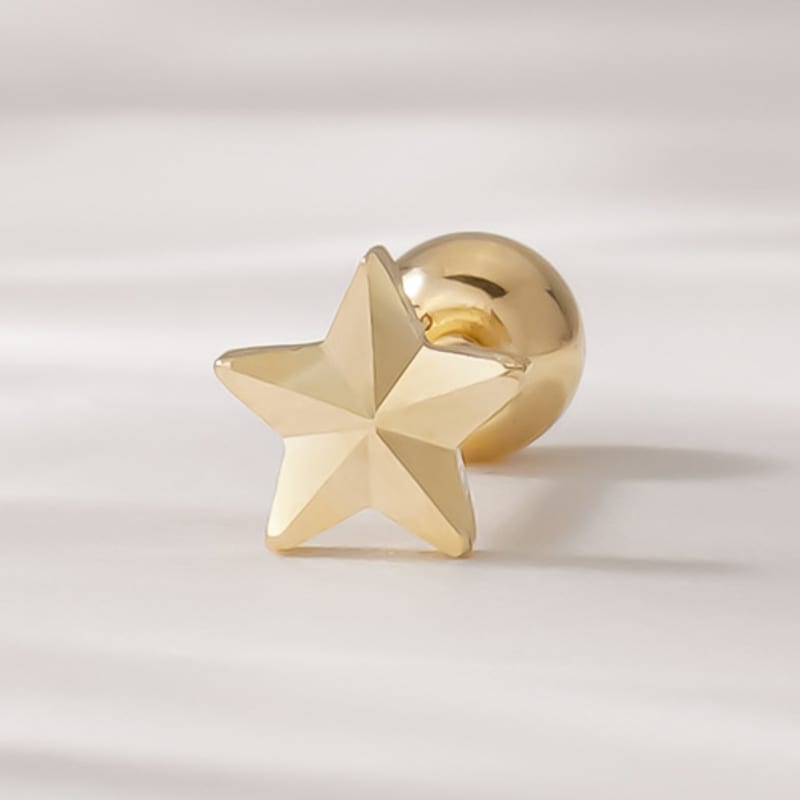 JEWNEL 14K Shining Star Piercing Earrings piercing (1 piece)
JEWNEL 14K Shining Star Piercing Earrings piercing (1 piece)