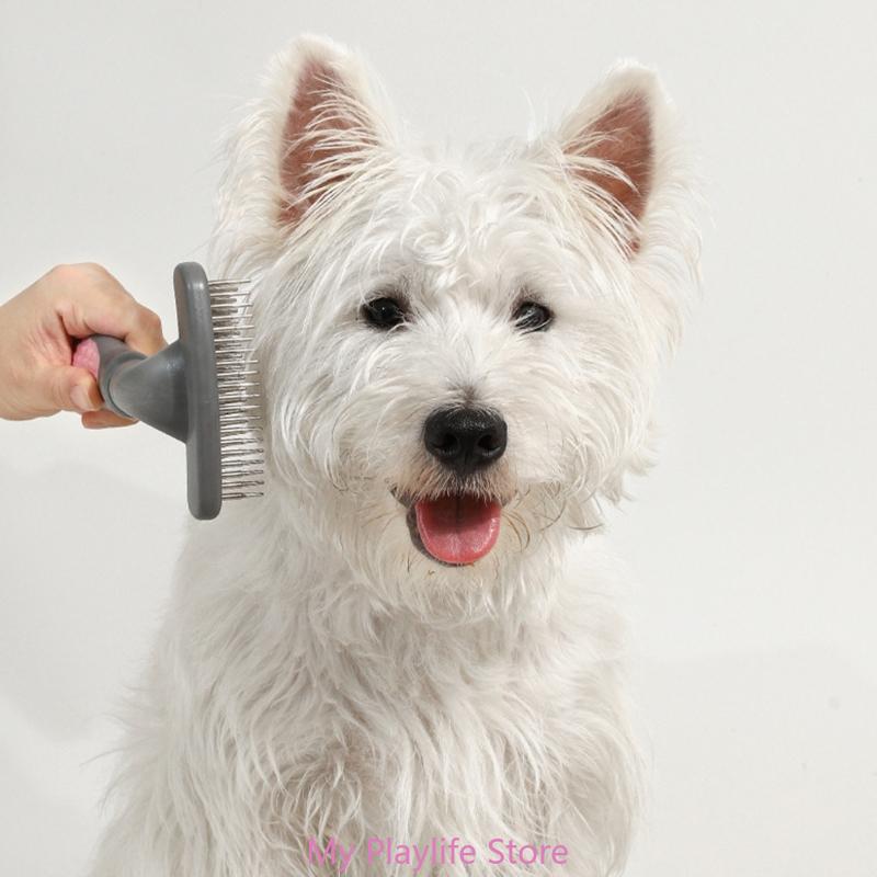 Pet Brush Dog & Cat Brushes for Shedding and Grooming Single Row Double Row Pin Comb Gentle Remove Hair Dander
Pet Brush Dog & Cat Brushes for Shedding and Grooming Single Row Double Row Pin Comb Gentle Remove Hair Dander