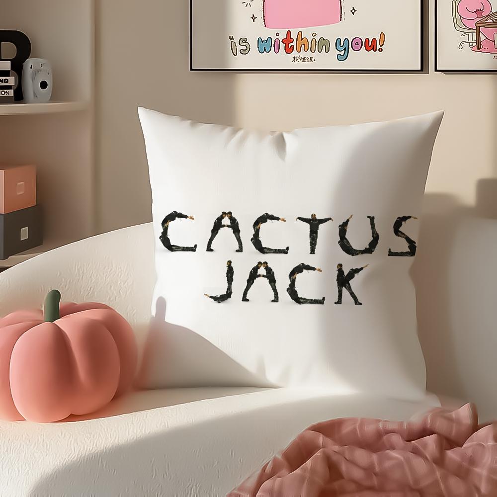 Cool CCactus JJackS Cushion Cover Pillowcase Short Plush Invisible zipper Room Sofa Cushion Cover 30X30cm
Cool CCactus JJackS Cushion Cover Pillowcase Short Plush Invisible zipper Room Sofa Cushion Cover 30X30cm