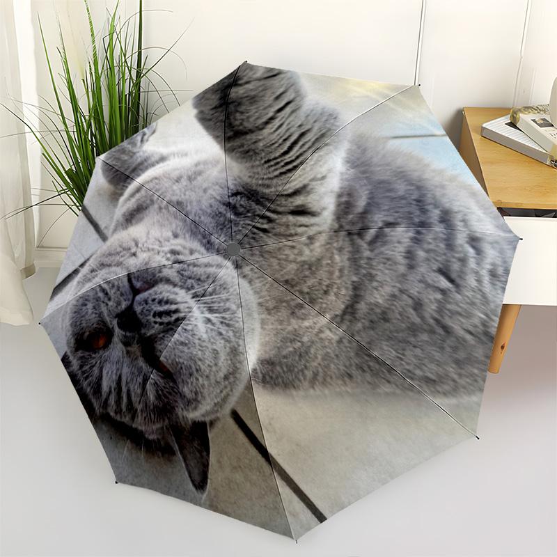 1pc cat Umbrella Portable Folding Umbrella Iron Frame Hole Bone Structure Outdoor Home Umbrella
1pc cat Umbrella Portable Folding Umbrella Iron Frame Hole Bone Structure Outdoor Home Umbrella