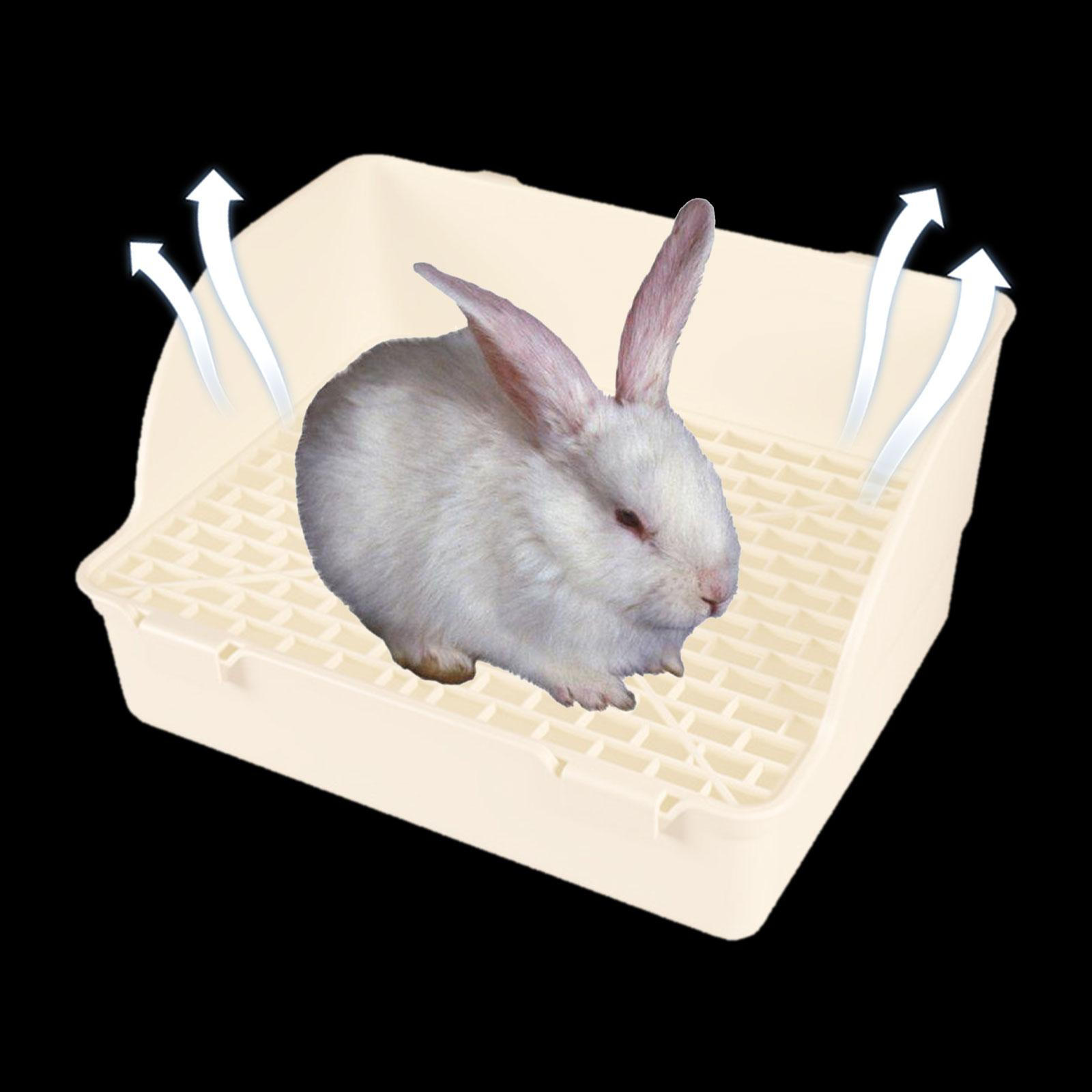 with Low Entry Bunny Potty Tray Pee Pan for Small Animals Guinea Pigs Dwarf Galesaur
with Low Entry Bunny Potty Tray Pee Pan for Small Animals Guinea Pigs Dwarf Galesaur