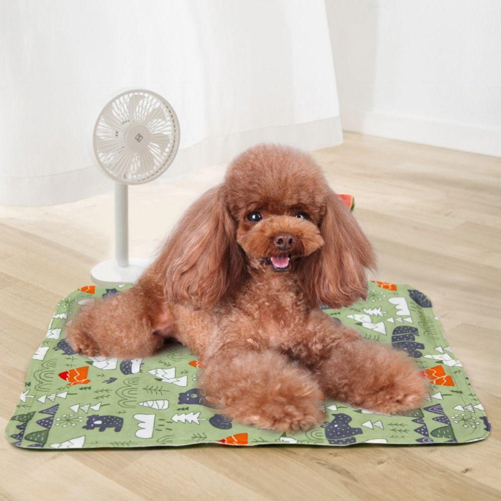 Washable Cat Sleeping Mat Waterproof Reusable Cat Mat Dog Cushion Dog Cooling Mat Pet Ice Pad S-B
Washable Cat Sleeping Mat Waterproof Reusable Cat Mat Dog Cushion Dog Cooling Mat Pet Ice Pad S-B