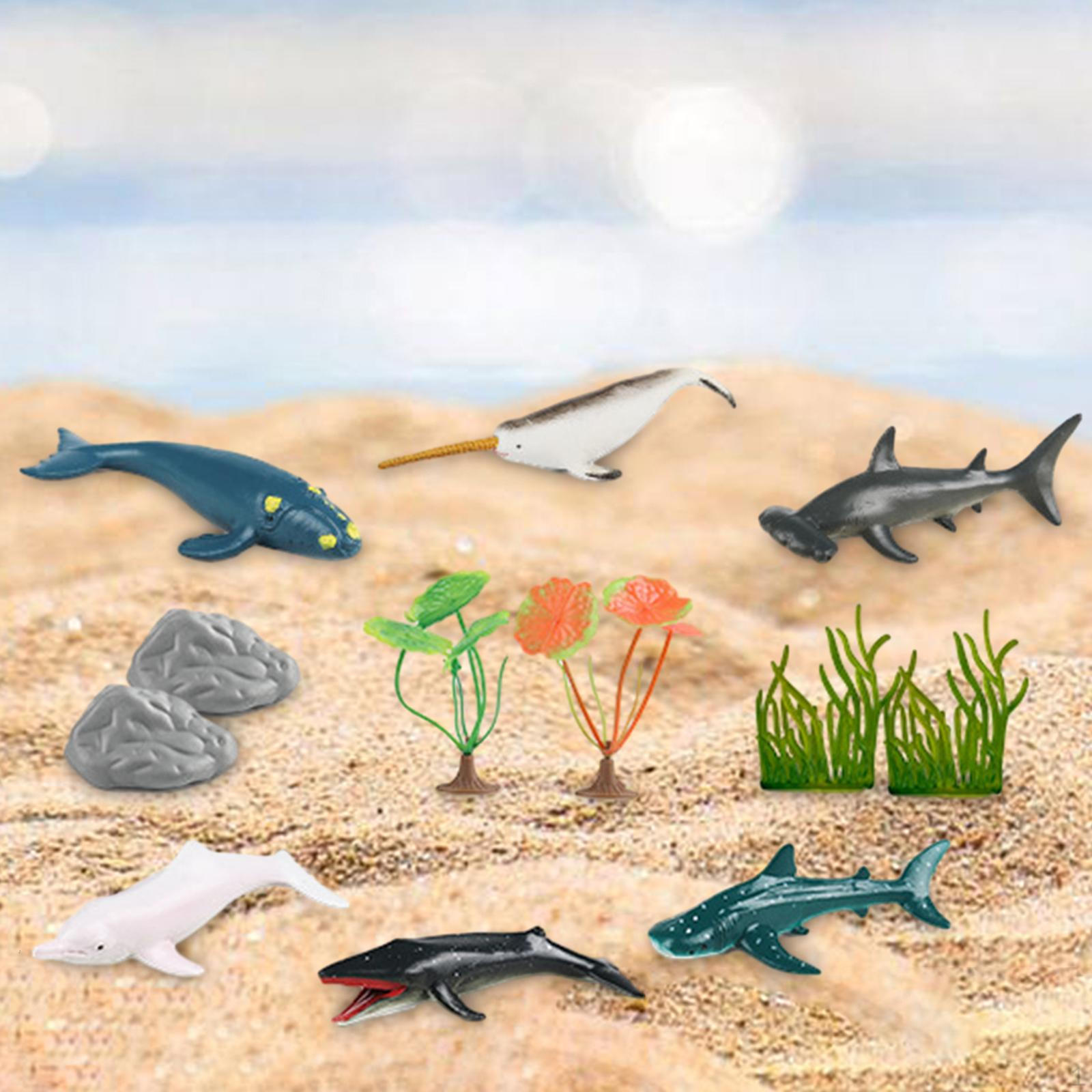 Marine Animal Figurines, under The Sea, for Birthday Gift Style B
Marine Animal Figurines, under The Sea, for Birthday Gift Style B