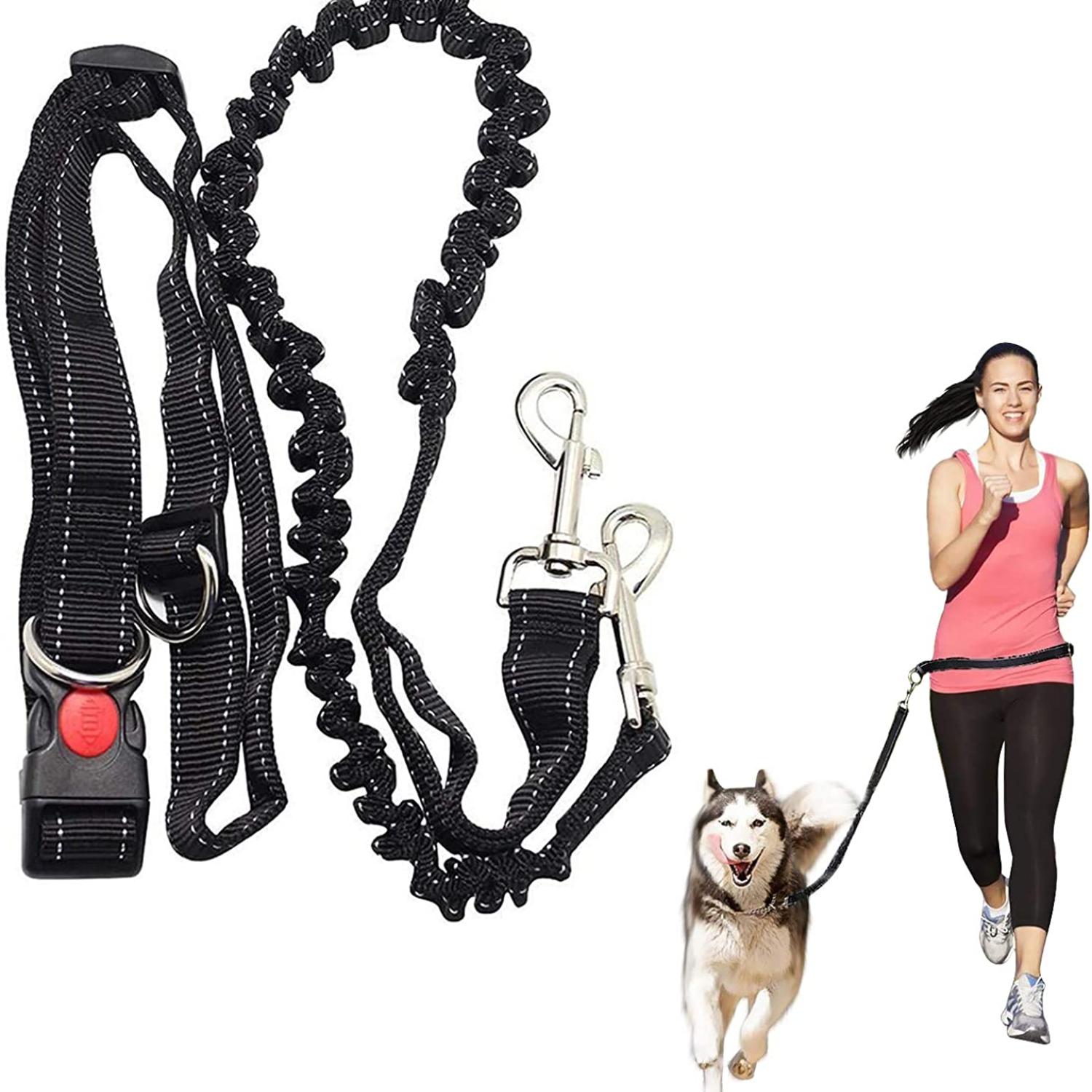 Hands Free Running Dog Lead, Многофункциональный регулируемый поводок для собак, Поводок для выгула собак, Регулируемый ремень безопасности для собак с эластичной отражающей полосой Bungee
Hands Free Running Dog Lead, Многофункциональный регулируемый поводок для собак, Поводок для выгула собак, Регулируемый ремень безопасности для собак с эластичной отражающей полосой Bungee