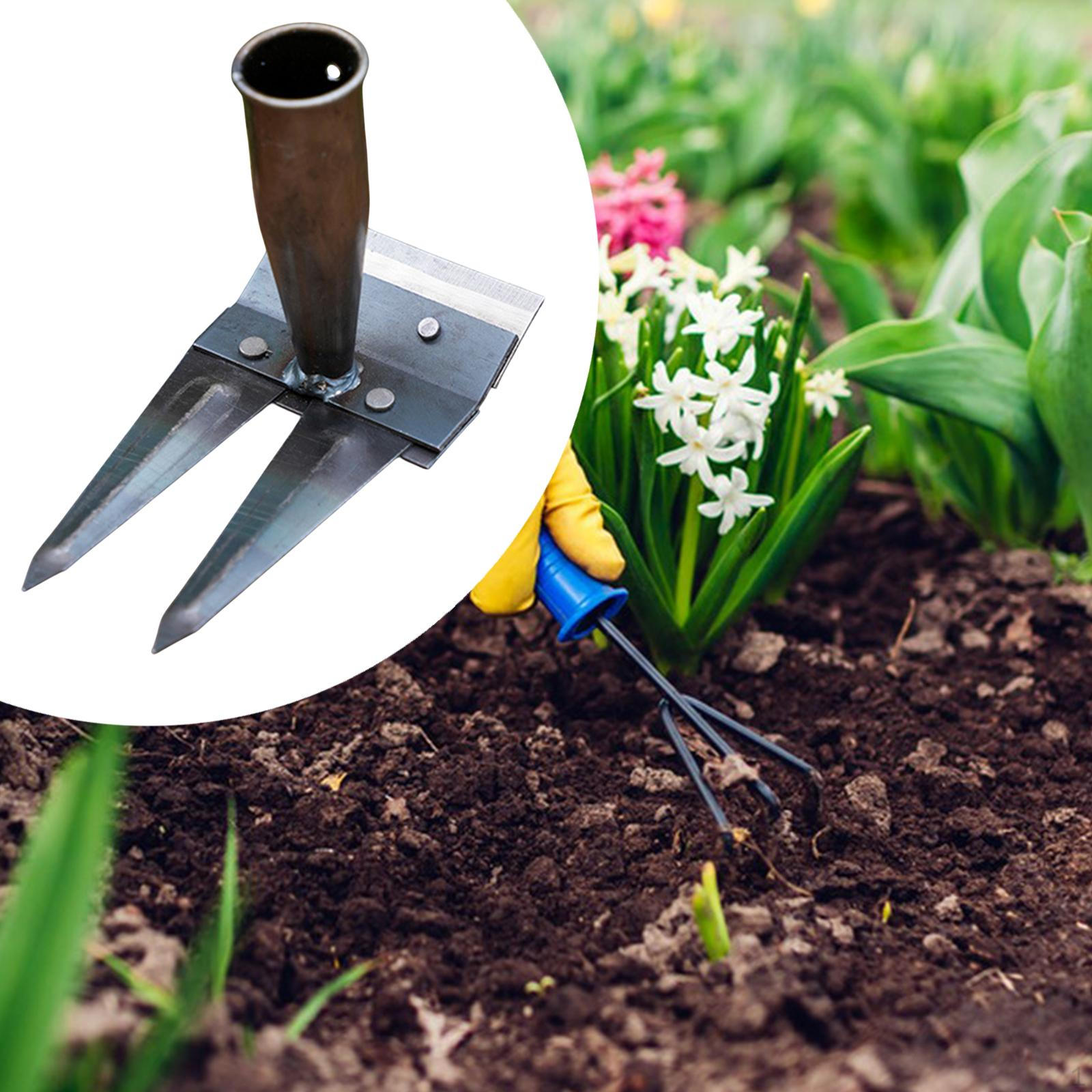 Garden Hoe Distance Tool Practical Manual Weed Electricity for Agricultural Landscape 2 Tines
Garden Hoe Distance Tool Practical Manual Weed Electricity for Agricultural Landscape 2 Tines