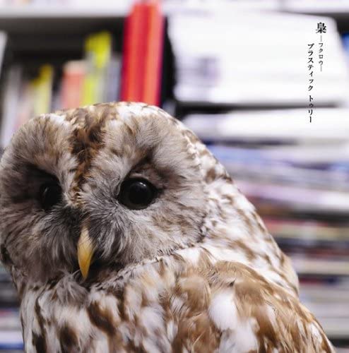 CD - Fukurou(shokaigenteiban A)(DVD tsuk UPCH9489 Japan ObiJapanese Pop/Rock Used
CD - Fukurou(shokaigenteiban A)(DVD tsuk UPCH9489 Japan ObiJapanese Pop/Rock Used