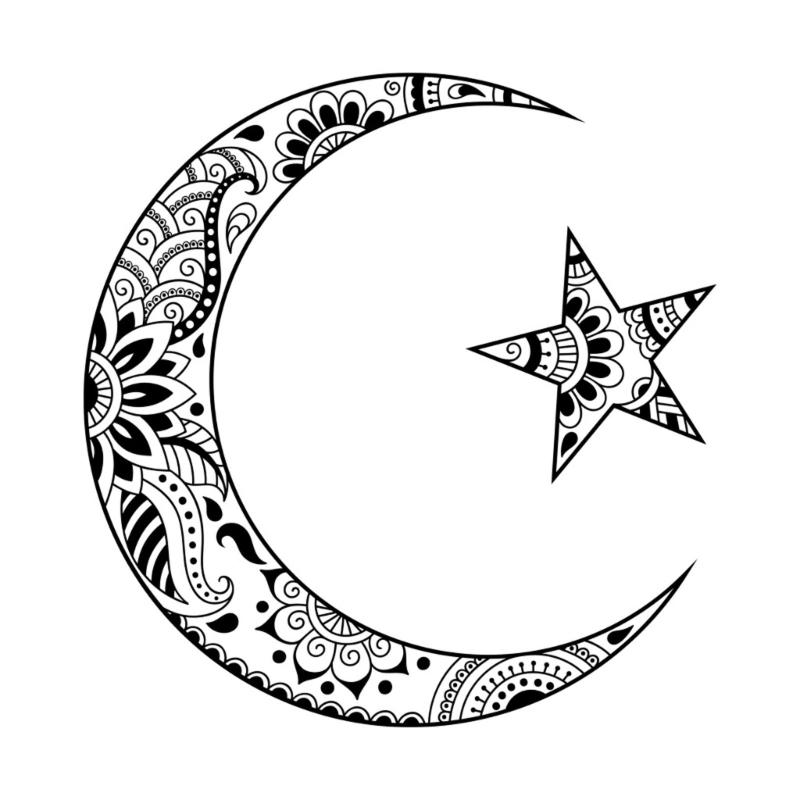 Waterproof PVC Wall Sticker Decorative Moon Eid Wall Stickers Perfect for Decorating Home Space, Parties,Store Displays 1
Waterproof PVC Wall Sticker Decorative Moon Eid Wall Stickers Perfect for Decorating Home Space, Parties,Store Displays 1