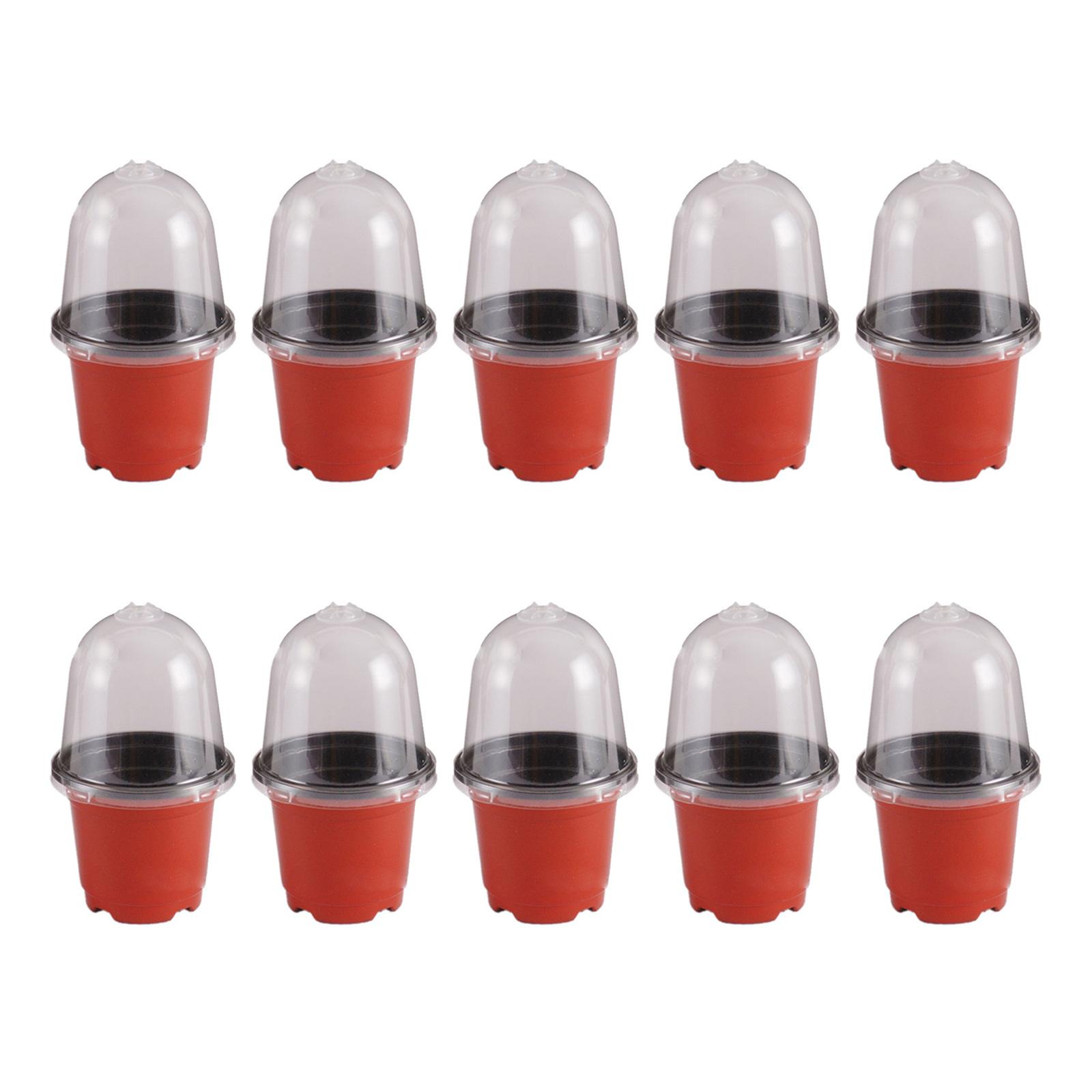 5/10/15/20 шт. Пластиковые горшки для рассады семян, горшок для посадки цветов, контейнер для рассады суккулентов A10
5/10/15/20 шт. Пластиковые горшки для рассады семян, горшок для посадки цветов, контейнер для рассады суккулентов A10