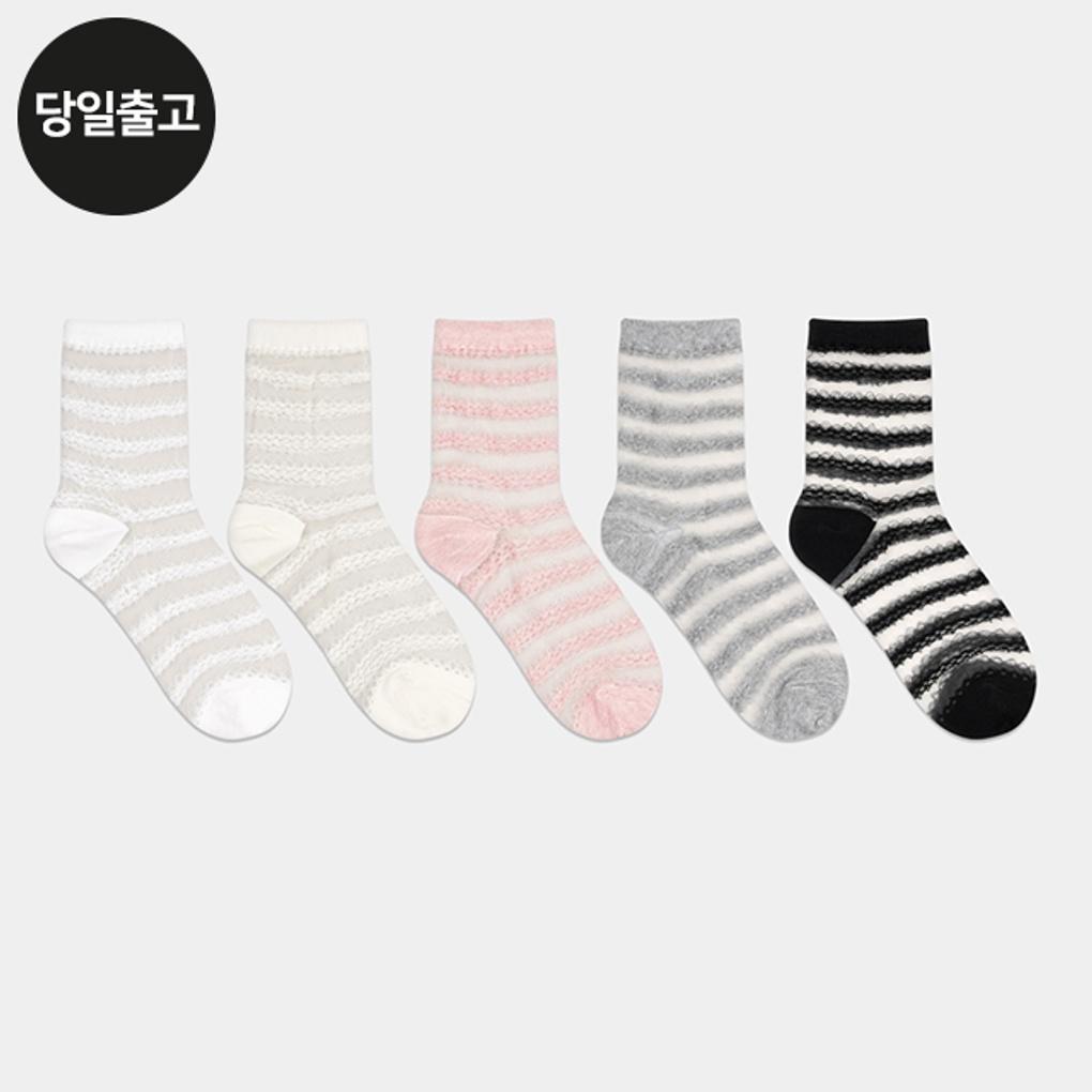 Женские/Студенческие кружевные носки с кольцом, прозрачные, до середины икры PG (3 пары) Установить ежедневную сетку
Женские/Студенческие кружевные носки с кольцом, прозрачные, до середины икры PG (3 пары) Установить ежедневную сетку