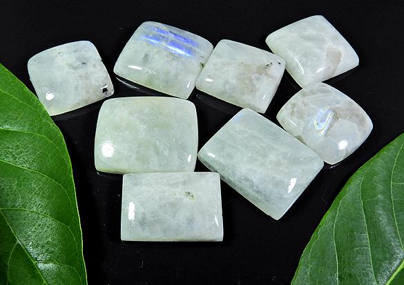 310Cts. Natural Rainbow Moonstone Octagon Cabochon Loose Gemstone 07 Pcs Lot RQ-192
310Cts. Natural Rainbow Moonstone Octagon Cabochon Loose Gemstone 07 Pcs Lot RQ-192