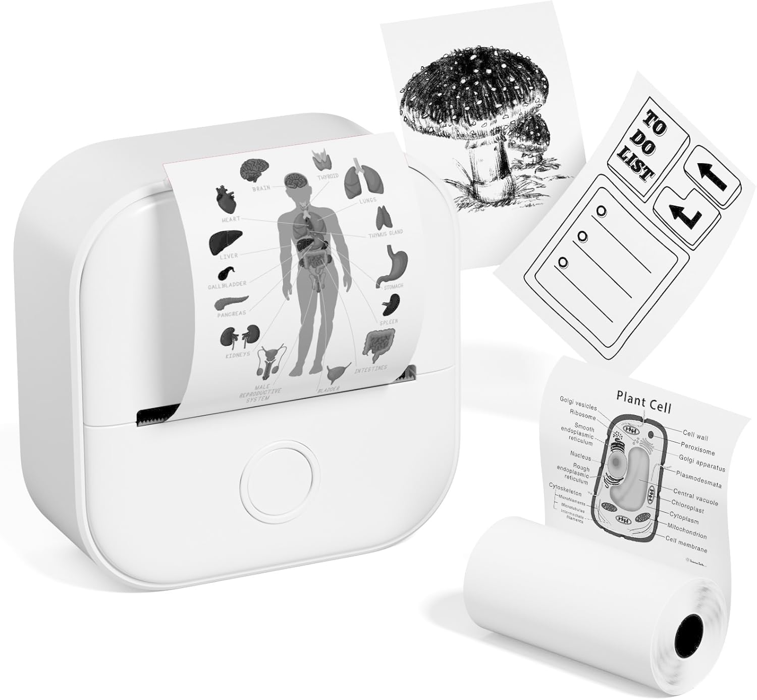 Smartphone compatible printer Memoqueen T02 Thermal printer Mini printer Mobile printer Memo printer Label writer Bluetooth printer Note printer Photo білий
Smartphone compatible printer Memoqueen T02 Thermal printer Mini printer Mobile printer Memo printer Label writer Bluetooth printer Note printer Photo білий