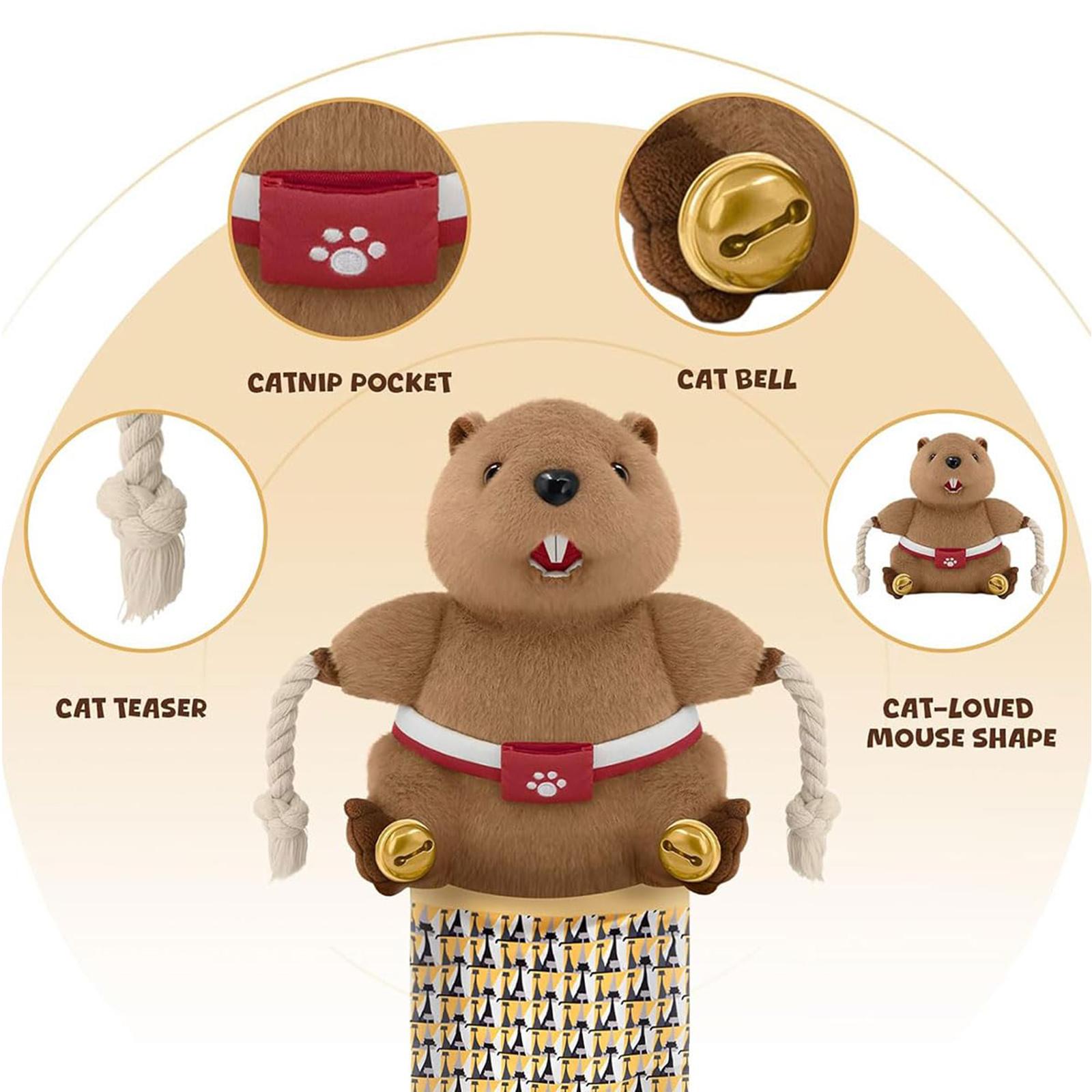 Cat Wrestling Gloves Cat Puppet Wrestler Cute Cat Toy One Size
Cat Wrestling Gloves Cat Puppet Wrestler Cute Cat Toy One Size