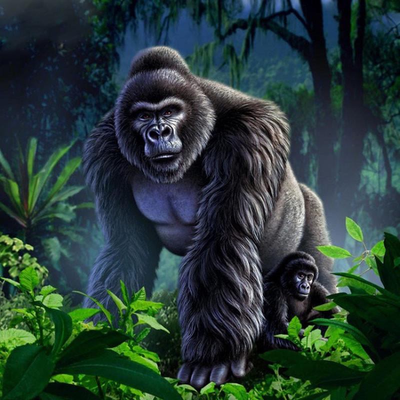 5D DIY Алмазная картина Горилла Квадратная/круглая Алмазная вышивка Подарок или украшениеbed
5D DIY Алмазная картина Горилла Квадратная/круглая Алмазная вышивка Подарок или украшениеbed