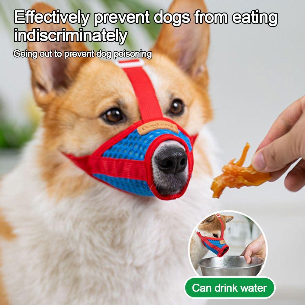 Anti Biting Barking & Chewing Pet Mouth Mask Breathable Dog Mouth Cover Small to Medium Dogs XL
Anti Biting Barking & Chewing Pet Mouth Mask Breathable Dog Mouth Cover Small to Medium Dogs XL