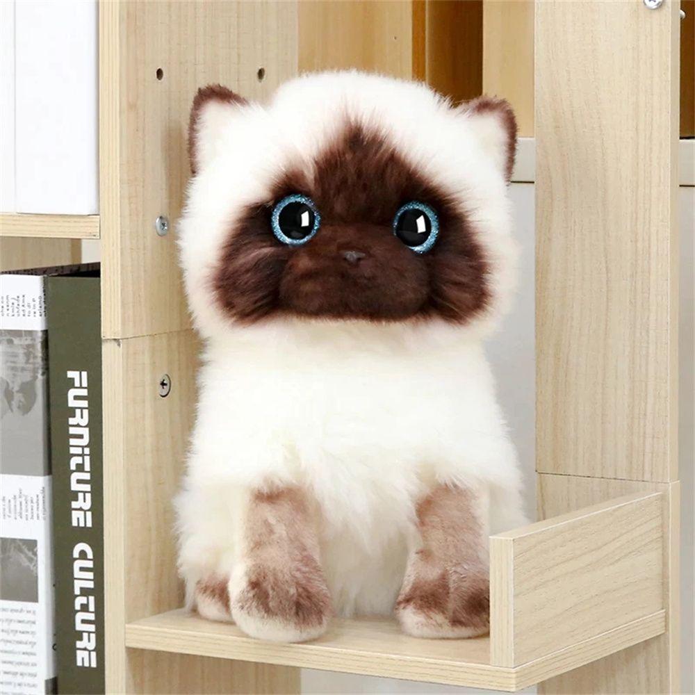 Имитация кошки Сиамская кошка Глаза с блестками Мягкие игрушки Мягкие игрушки Кошки-рэгдоллы Мягкая игрушка для кошки 20cm
Имитация кошки Сиамская кошка Глаза с блестками Мягкие игрушки Мягкие игрушки Кошки-рэгдоллы Мягкая игрушка для кошки 20cm