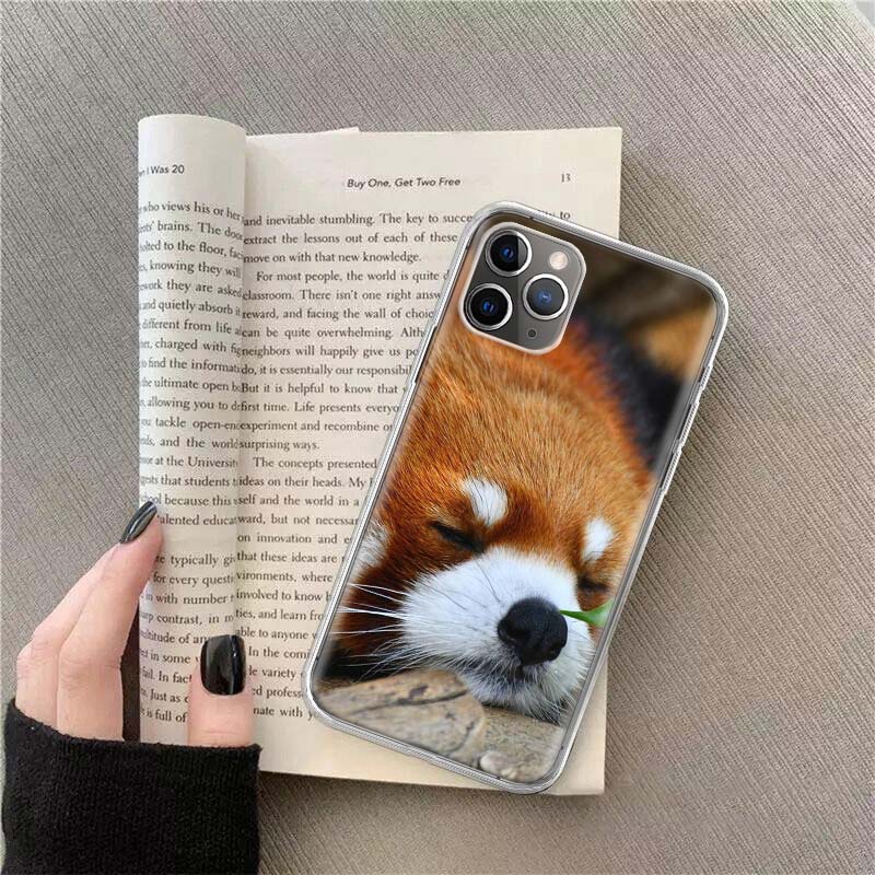 Popular red pandas Phone Case For Apple Iphone 12 13 Mini 14 15 Pro 17 Pro Max Air 11 16E 16 Plus Shell Cover Clear TP iPhone 12 Pro Max
Popular red pandas Phone Case For Apple Iphone 12 13 Mini 14 15 Pro 17 Pro Max Air 11 16E 16 Plus Shell Cover Clear TP iPhone 12 Pro Max