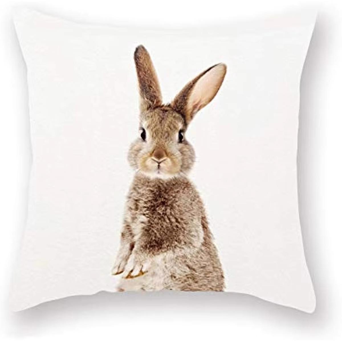 Double Sided Gray Rabbit Pillow Cover Minimalist Theme Party Decoration for Spring Events and Cozy Gatherings 45cmx45cm
Double Sided Gray Rabbit Pillow Cover Minimalist Theme Party Decoration for Spring Events and Cozy Gatherings 45cmx45cm