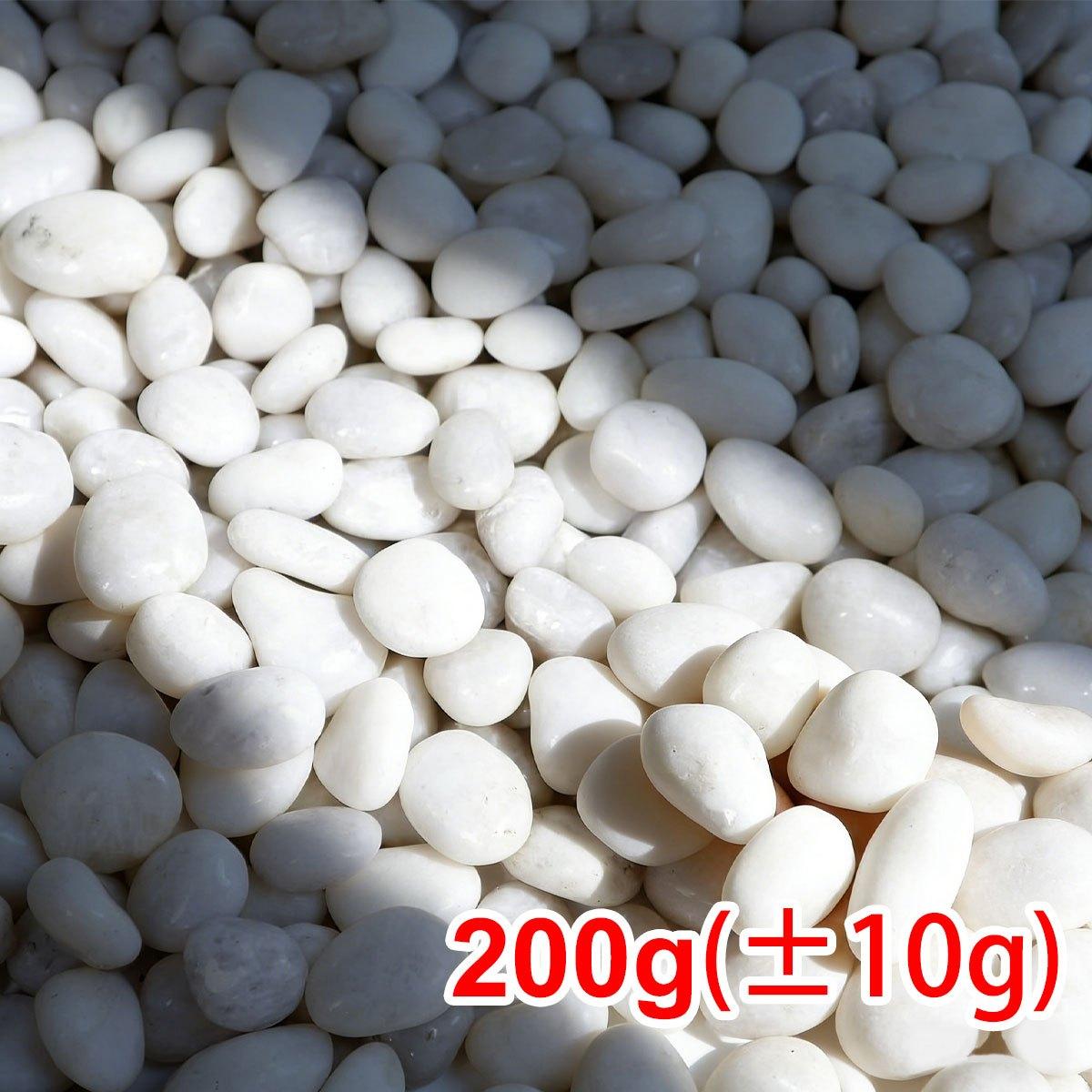 200g White Polished Natural River Pebbles 2-3cm Decorative Stones for Planters Aquariums Garden ZSY
200g White Polished Natural River Pebbles 2-3cm Decorative Stones for Planters Aquariums Garden ZSY