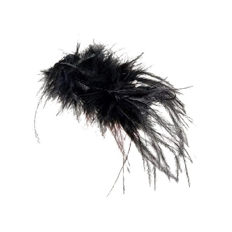 Elegant Feathered Hair Decoration Suitable For Bridesmaids Or Special Occasions Offers A Distinctive And Charming Appeal
Elegant Feathered Hair Decoration Suitable For Bridesmaids Or Special Occasions Offers A Distinctive And Charming Appeal