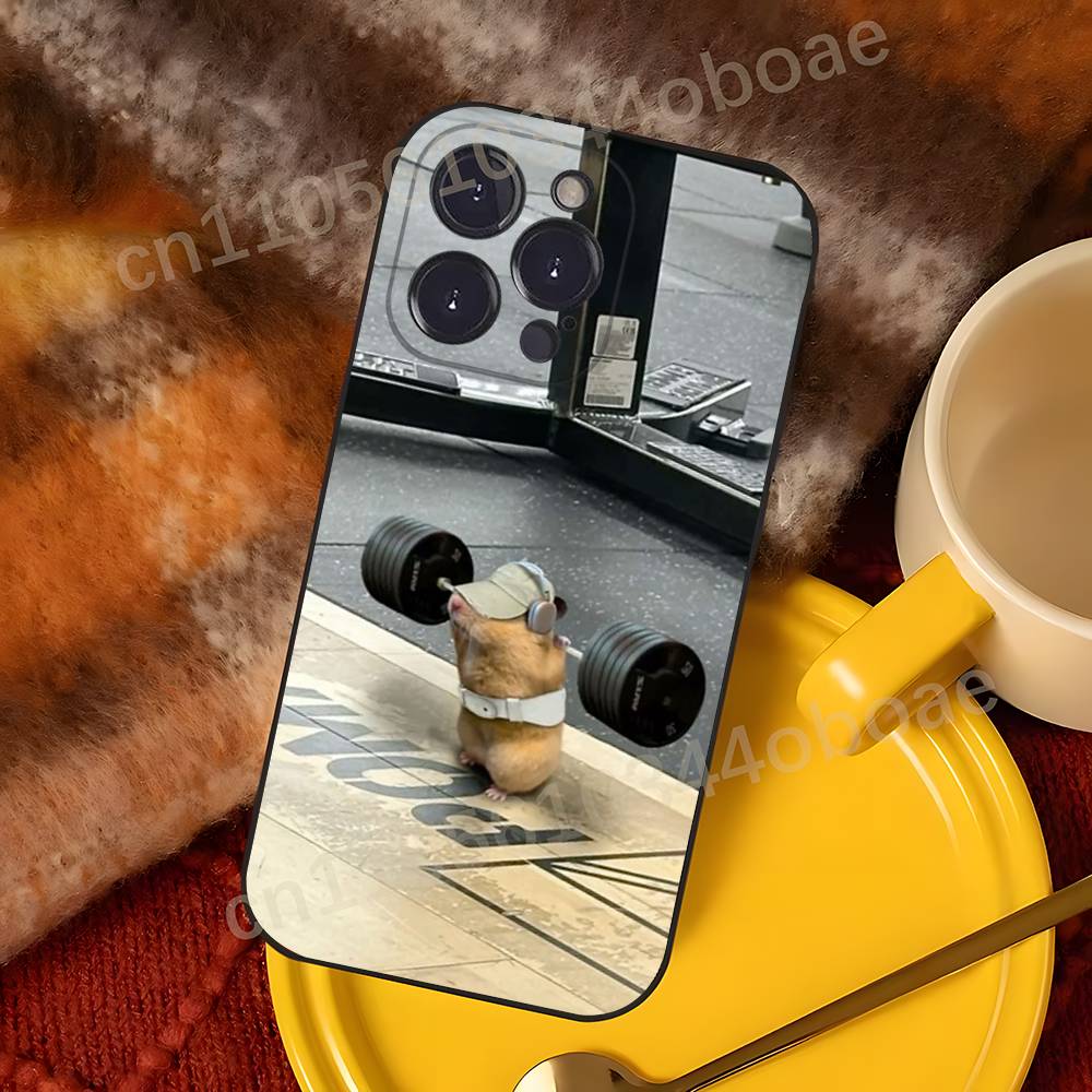 Cute Gym Hamster Phone Case For iPhone 17,16,15,14,13,12,11,Pro,Max,Plus Shockproof Cover iPhone12PRO
Cute Gym Hamster Phone Case For iPhone 17,16,15,14,13,12,11,Pro,Max,Plus Shockproof Cover iPhone12PRO