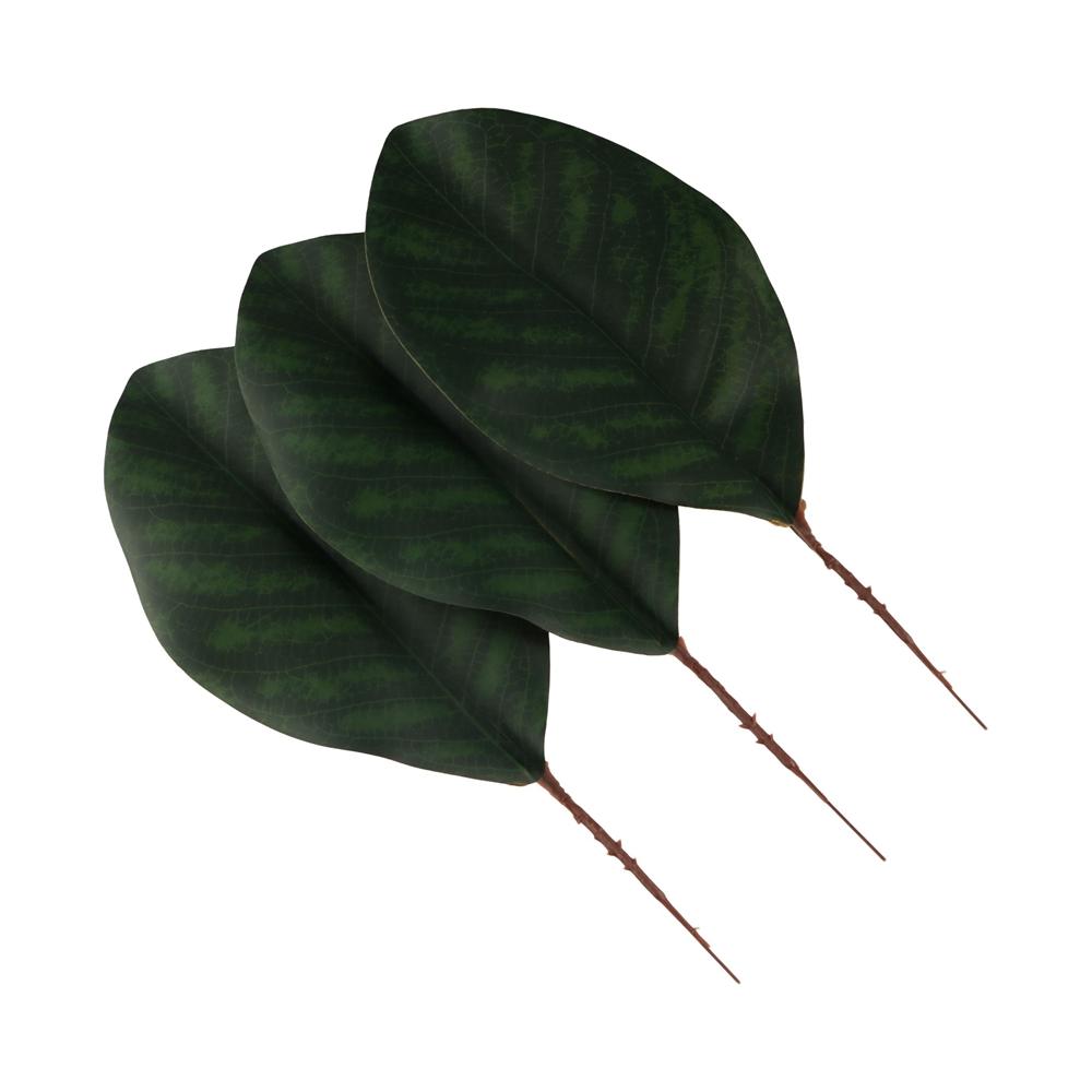 5pcs Real Touch Fake Green Leaves Realistic Simulation Magnolia Leaf Office Hotel Decor S
5pcs Real Touch Fake Green Leaves Realistic Simulation Magnolia Leaf Office Hotel Decor S